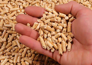 Litière à base de Granulé de bois رمل قطط من الخشب Litière à base de Granulé de bois رمل قطط من الخشب
